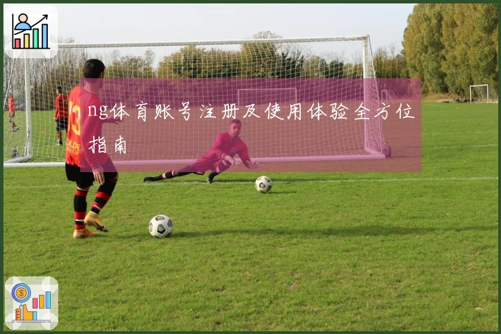 ng体育账号注册及使用体验全方位指南