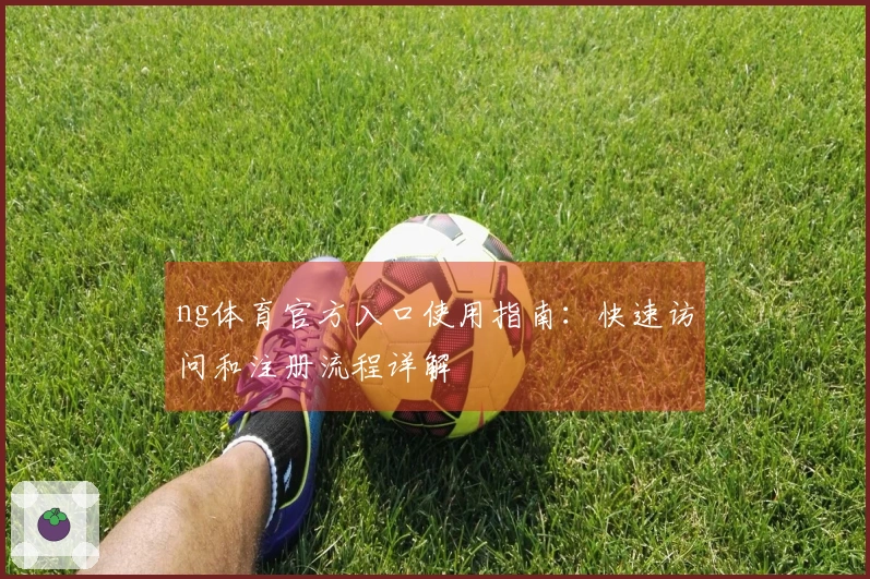 ng体育官方入口使用指南：快速访问和注册流程详解