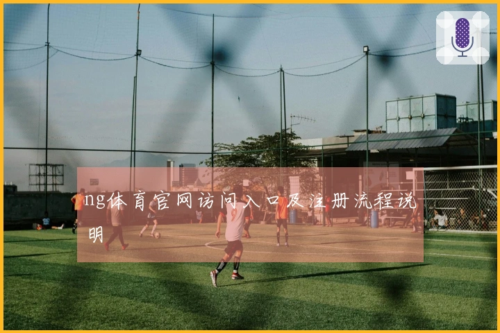 ng体育官网访问入口及注册流程说明