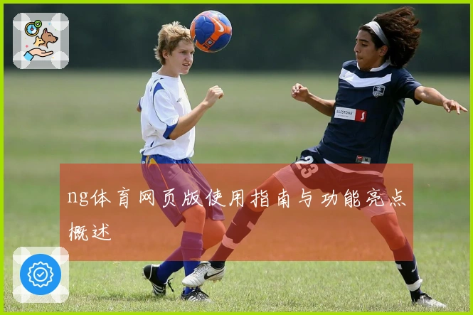 ng体育网页版使用指南与功能亮点概述